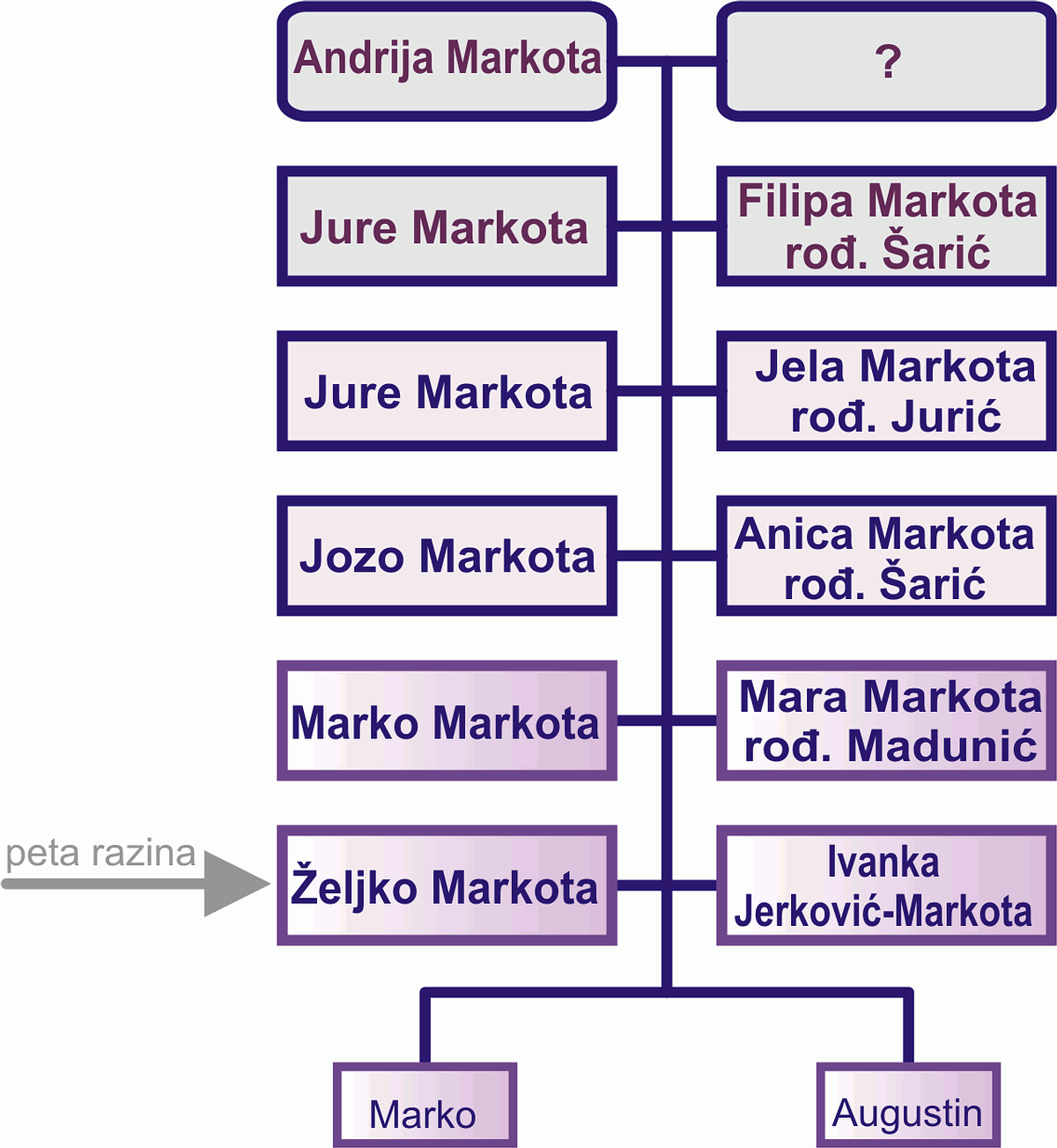 Željko Markota 1961. (tree)